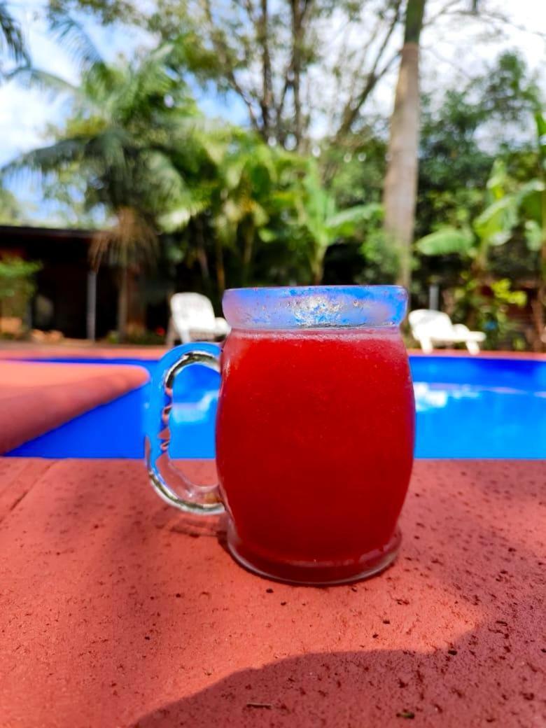 Posada Yvoty Hotel ปูแอร์โตอีกวาซู ภายนอก รูปภาพ
